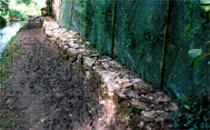 Chantier de jeunes