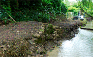 Chantier de jeunes