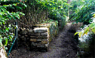 Chantier de jeunes